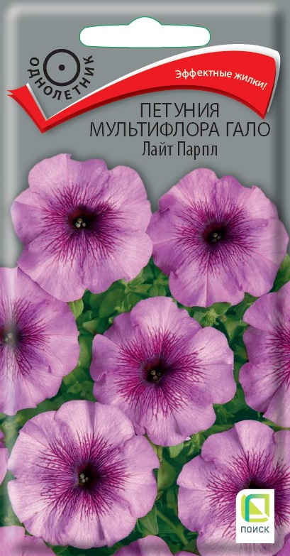 Изображение товара Семена цветов Поиск петуния мультифлора Гало Лайт Парпл