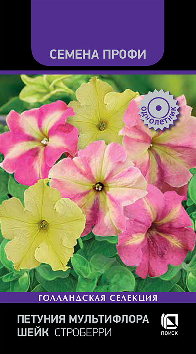 Изображение товара Семена цветов Поиск петуния мультифлора Шейк Строберри