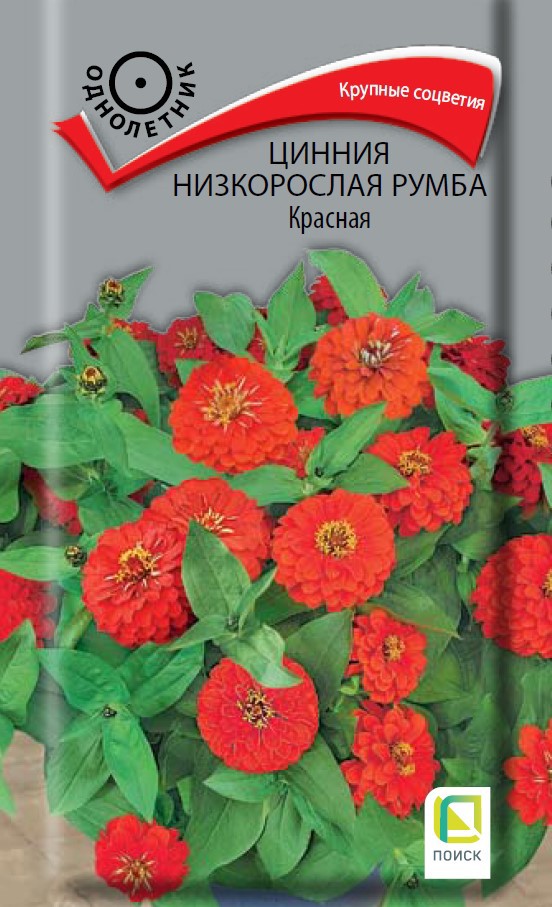 Изображение товара Семена цветов Поиск цинния низкорослая Румба Красная