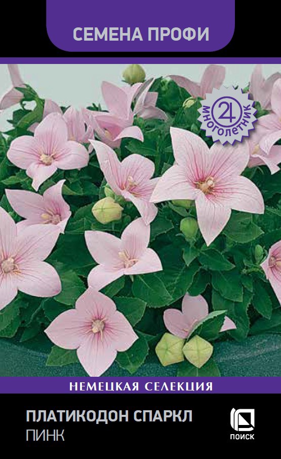 Изображение товара Платикодон Спаркл Пинк — семена цветов, розовые крупные цветы, 20 см