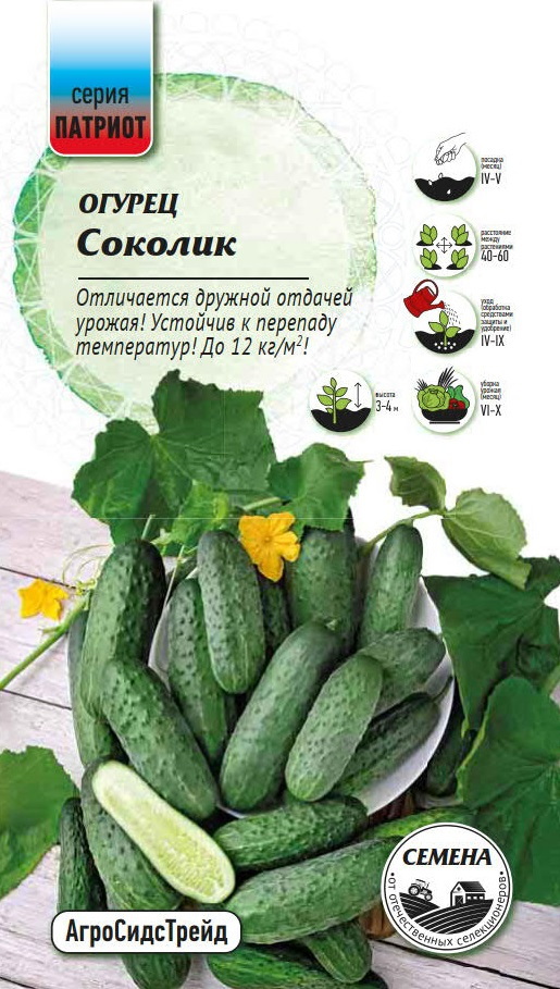 Изображение товара Семена овощей Патриот огурец Соколик 10 шт.