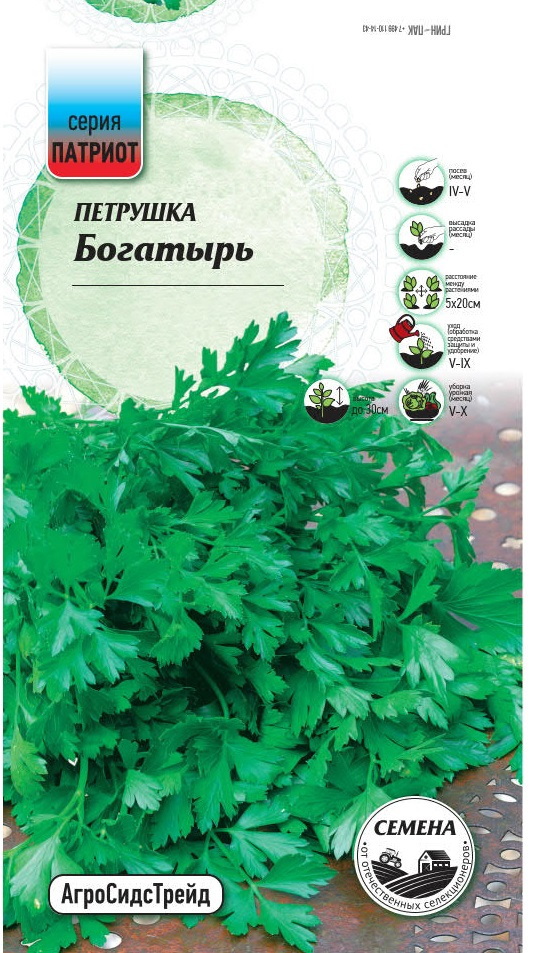 Изображение товара Семена пряных трав Патриот петрушка Богатырь