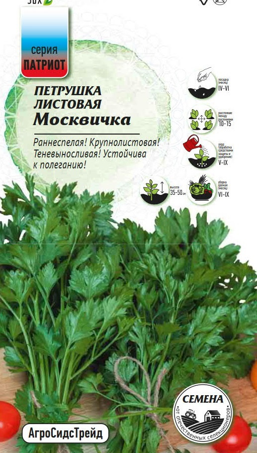 Изображение товара Семена пряных трав Патриот петрушка Москвичка Изображение товара Семена пряных трав Патриот петрушка Москвичка