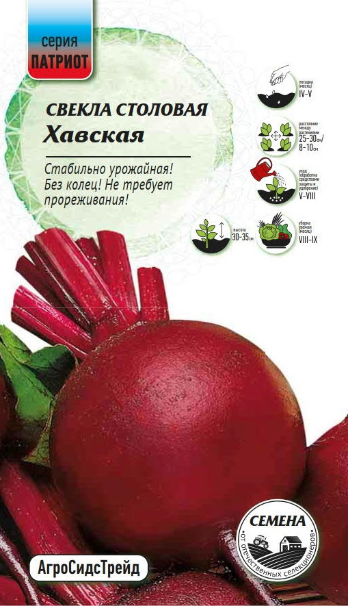 Изображение товара Семена овощей Патриот свекла Хавская