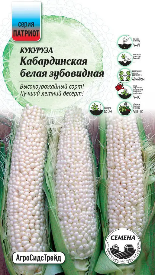 Семена овощей Патриот кукуруза зубовидная Кабард белая