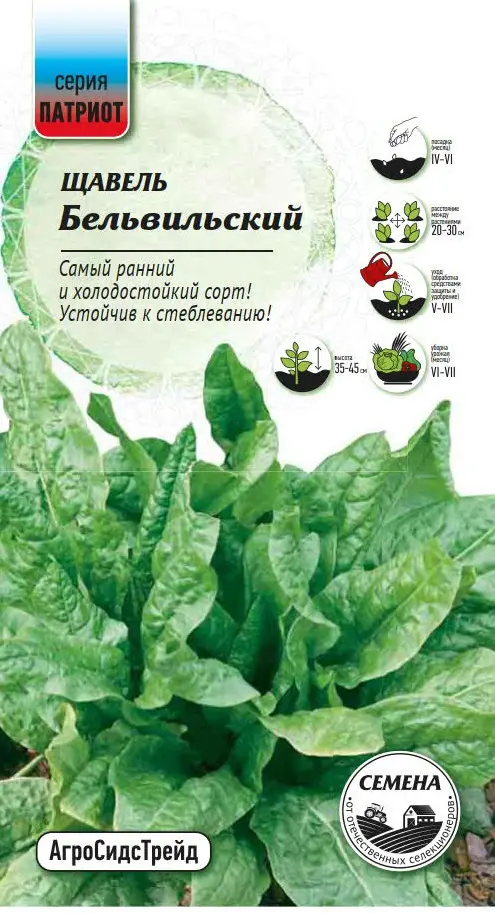 Семена овощей Патриот щавель Бельвильский