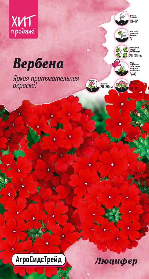 Изображение товара Семена цветов Аэлита вербена для бордюра Люцифер