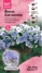 Изображение товара Семена цветов Аэлита виола Кул Вейв Фрост F1 5 шт.