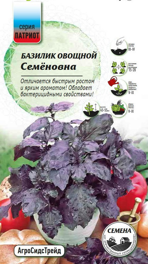 Изображение товара Семена пряных трав Патриот базилик овощной Семеновна Изображение товара Семена пряных трав Патриот базилик овощной Семеновна