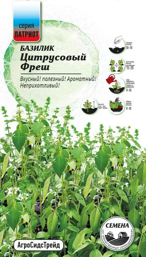 Семена пряных трав Патриот базилик Цитрусовый фреш