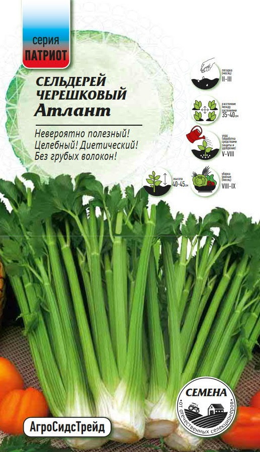 Изображение товара Семена овощей Патриот сельдерей Атлант