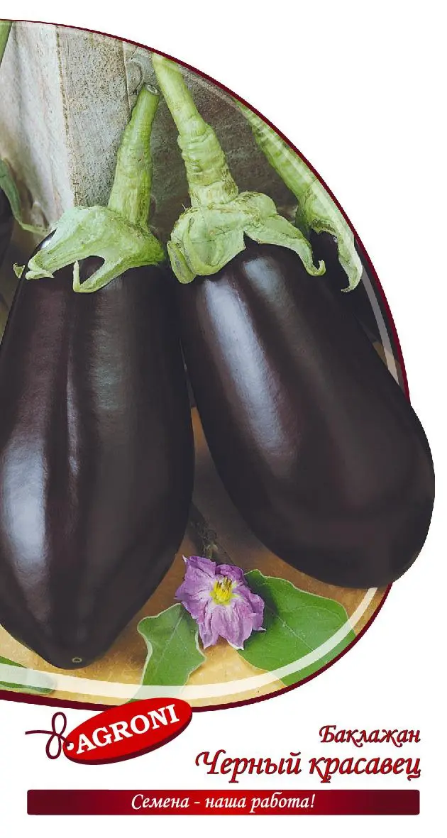 Семена овощей баклажан Черный красавец