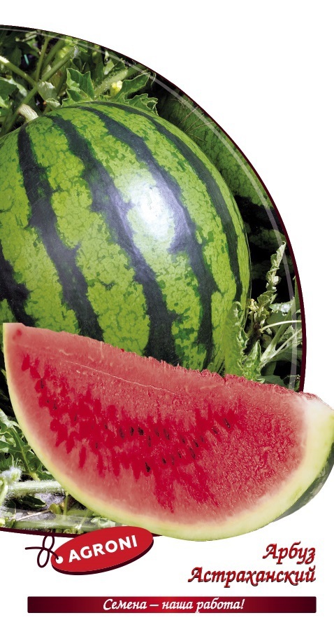 Изображение товара Семена овощей арбуз Астраханский
