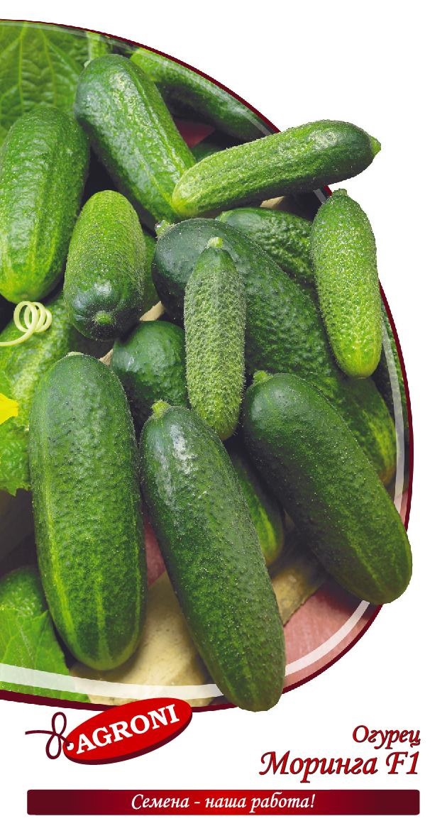Изображение товара Семена овощей огурец Моринга F1