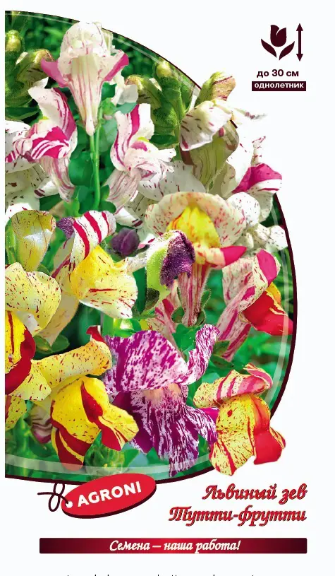 Семена цветов Agroni Львиный зев Тутти-фрутти
