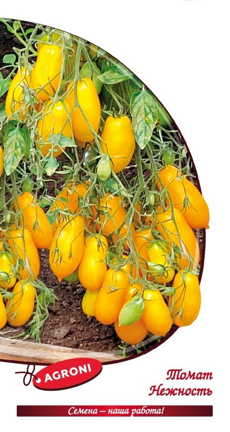 Изображение товара Семена овощей томат Нежность