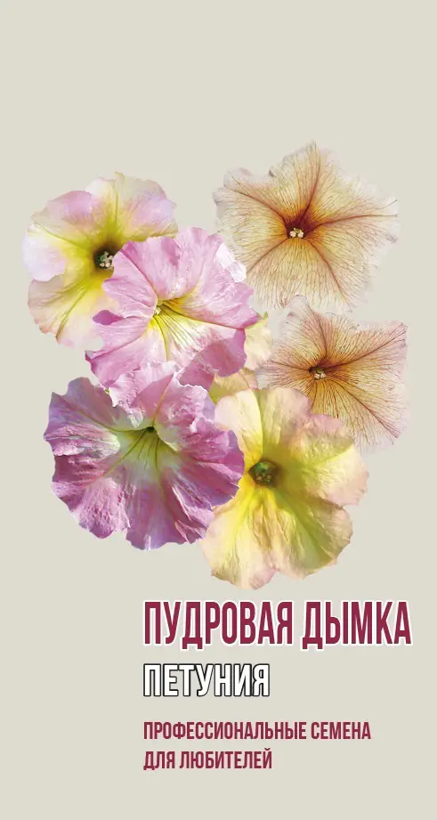 Семена цветов Agroni петуния Пудровая дымка 5 шт.