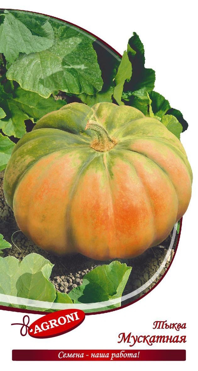 Изображение товара Семена овощей тыква Мускатная