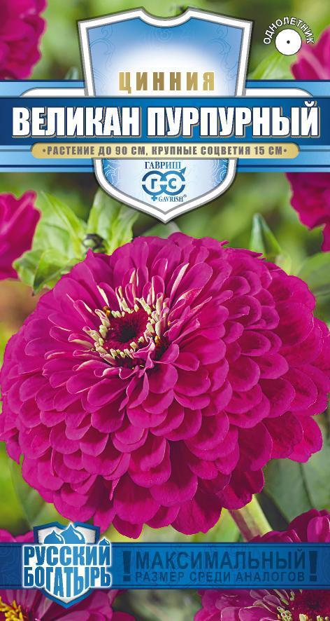 Изображение товара Семена цветов Гавриш Русский богатырь цинния Великан пурпурный