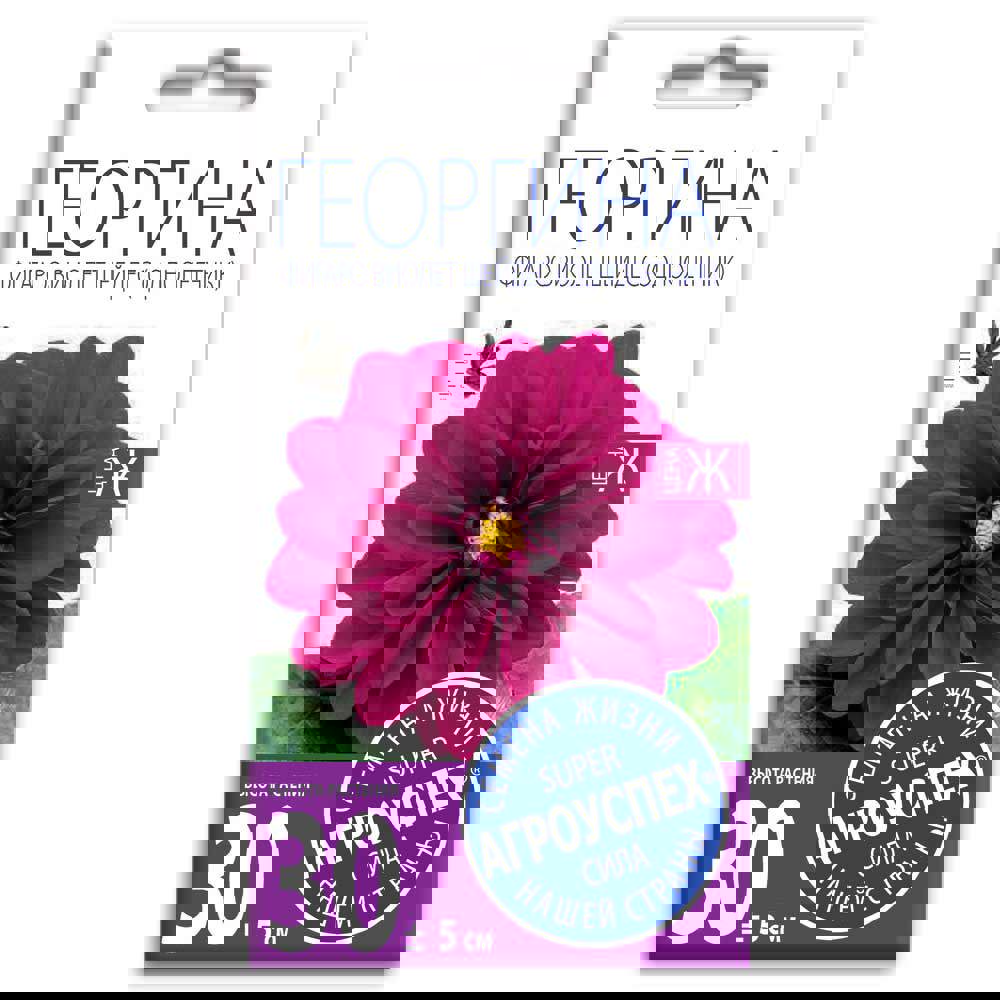 Изображение товара [Семена] Агроуспех Георгина Фигаро Виолет Шейдес 7 шт. Розовый цвет