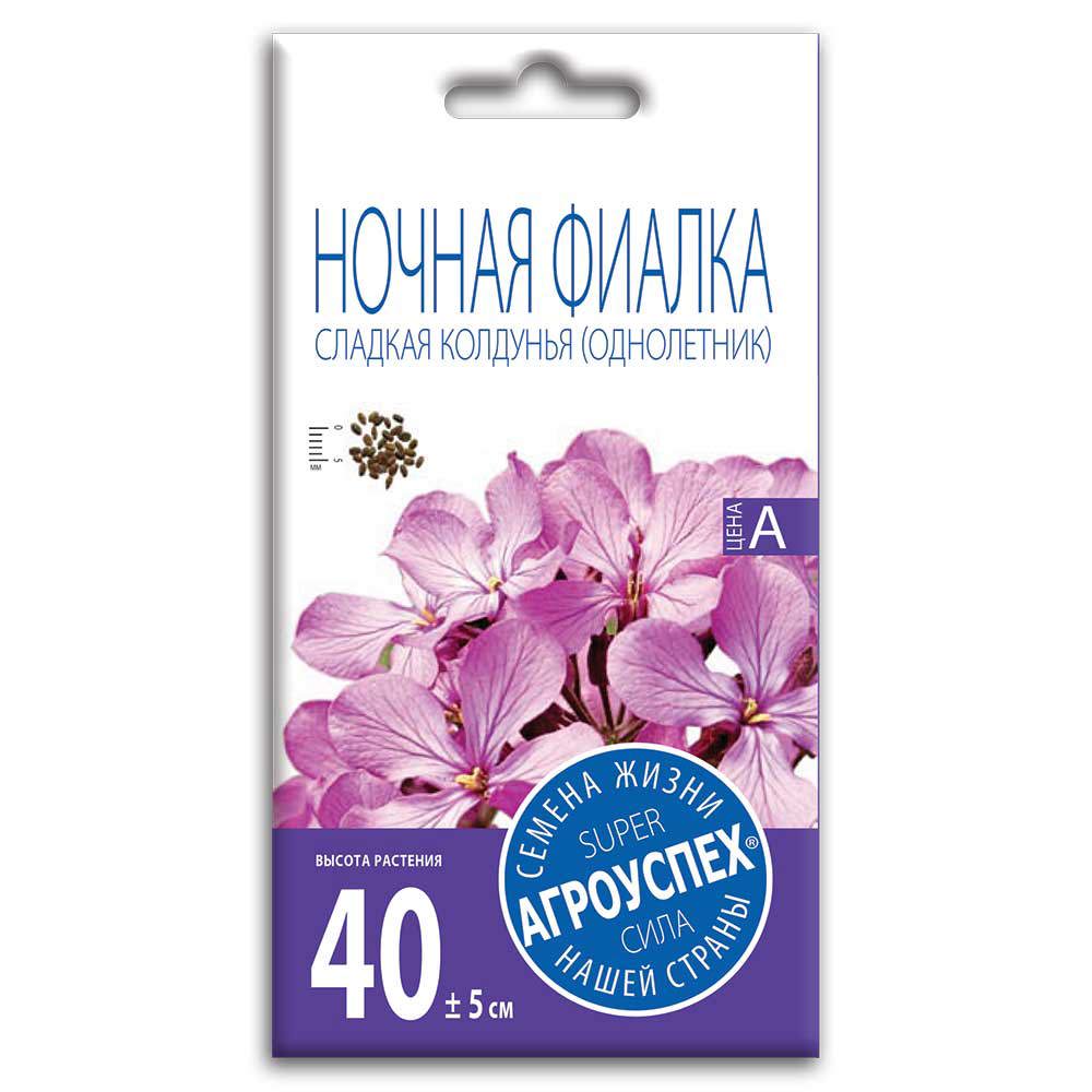 Изображение товара Семена цветов Агроуспех фиалка ночная Сладкая колдунья Изображение товара Семена цветов Агроуспех фиалка ночная Сладкая колдунья