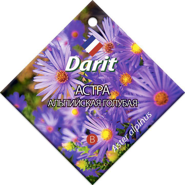 Изображение товара Семена цветов Darit астра Альпийская голубой
