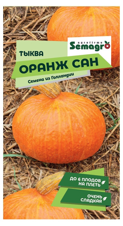 Изображение товара Семена плодово-ягодных растений тыква Оранж Сан