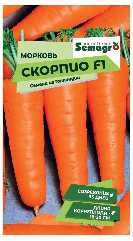 Изображение товара Семена овощей Seminis морковь Скорпио F1