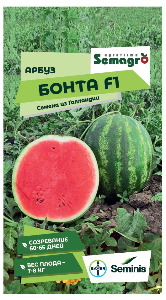Изображение товара Семена плодово-ягодных растений Seminis арбуз Бонта F1