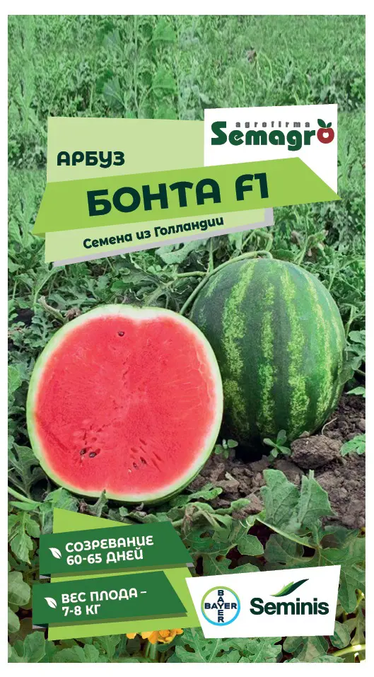 Семена плодово-ягодных растений Seminis арбуз Бонта F1