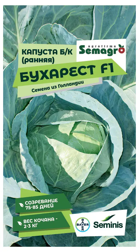 Семена овощей Seminis капуста белокочанная Бухарест F1
