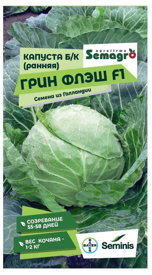 Изображение товара Семена овощей Seminis капуста белокочанная Грин Флэш F1