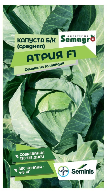 Изображение товара Семена овощей Seminis капуста белокочанная Атрия F1