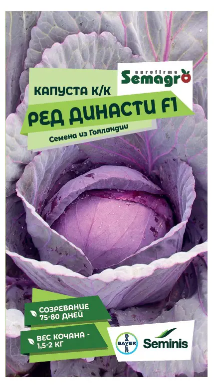 Семена овощей Seminis капуста белокочанная Ред Династи F1