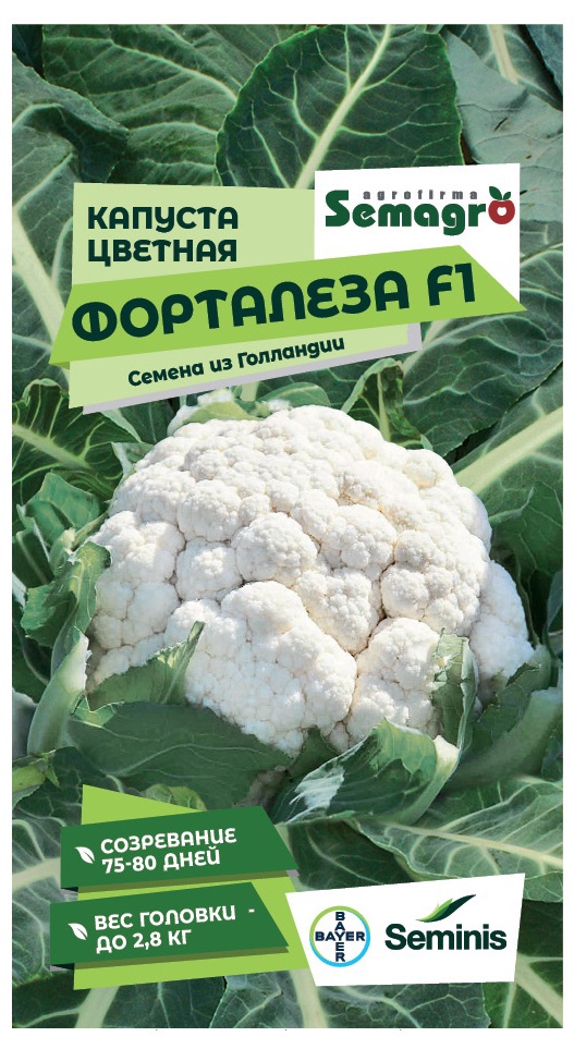 Изображение товара Семена овощей Seminis капуста Форталеза F1