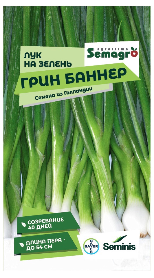Изображение товара Семена лука на зелень Грин Баннер — ранний сбор зелени, 200 шт, Россия