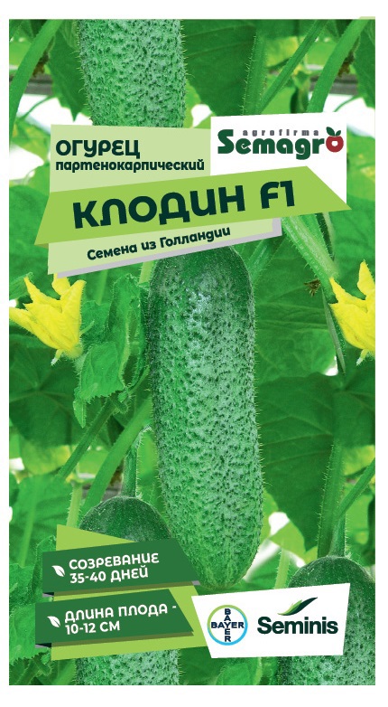 Изображение товара Семена овощей Seminis огурец Клодин F1