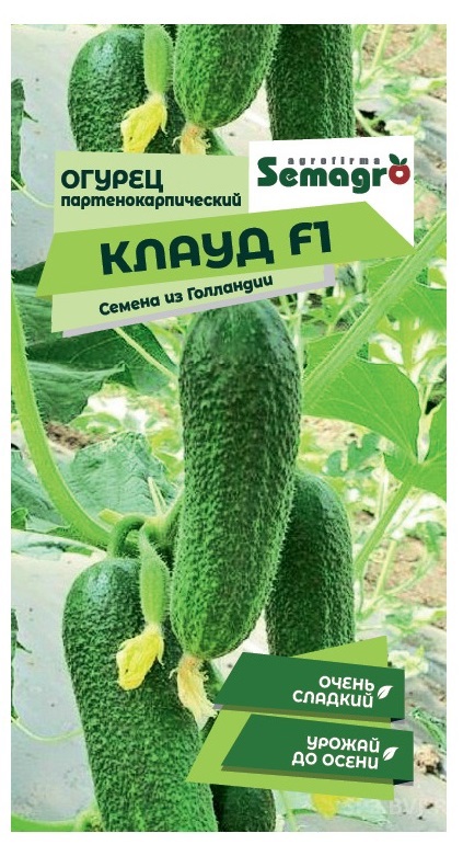 Изображение товара Семена овощей Seminis огурец Клауд F1