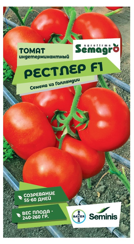 Изображение товара Семена овощей Seminis томат Рестлер F1