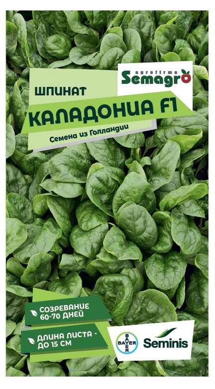 Изображение товара Семена овощей Seminis шпинат Каледония Изображение товара Семена овощей Seminis шпинат Каледония