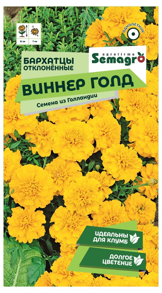 Изображение товара Семена цветов бархатцы отклоненные Виннер Голд