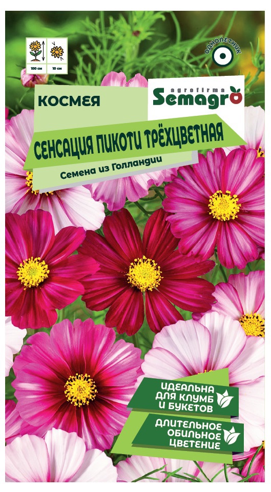 Изображение товара Семена цветов Semagro космея Пикоти трехцветный