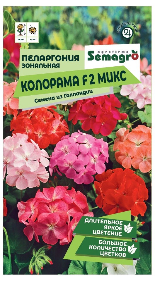 Изображение товара Семена цветов пеларгония зональная Колорама микс
