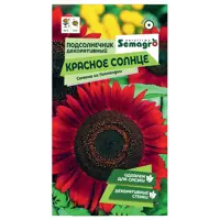 Изображение товара Семена подсолнечника Красное солнце — декоративный однолетник, 5 шт