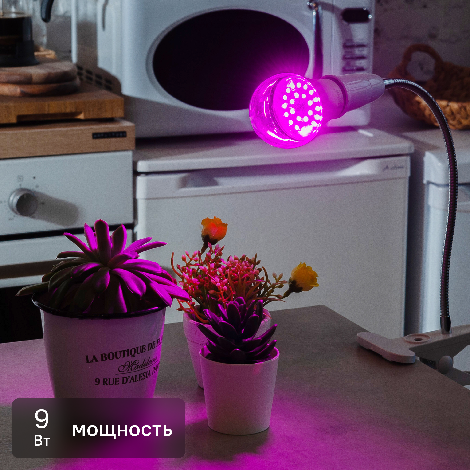 Изображение товара Светодиодная фитолампа UNIEL E27 9 Вт красно-синий спектр для растений