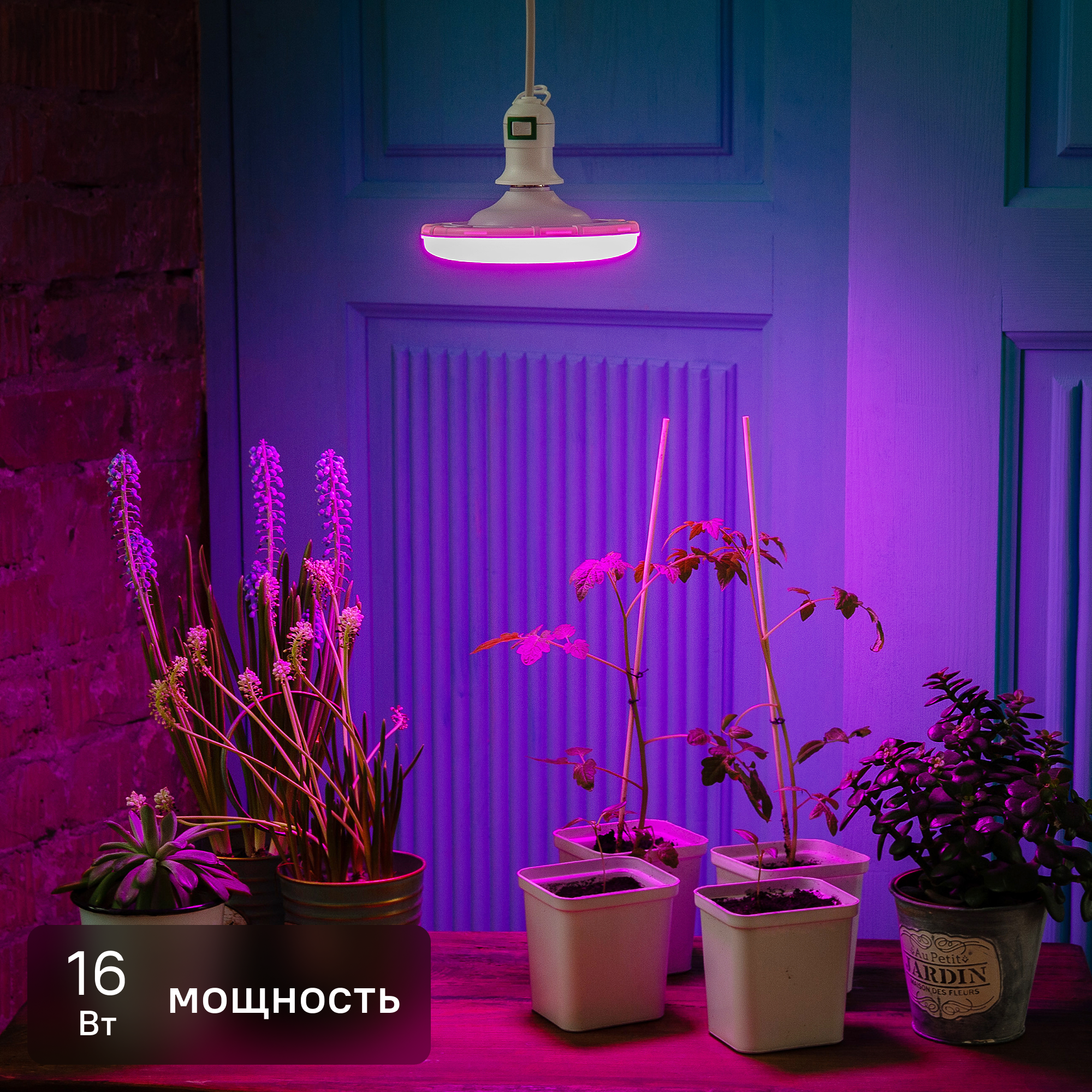 Фитолампа светодиодная для растений Uniel E27 220-230 В 16 Вт 150 мм красно-синий спектр розовый свет