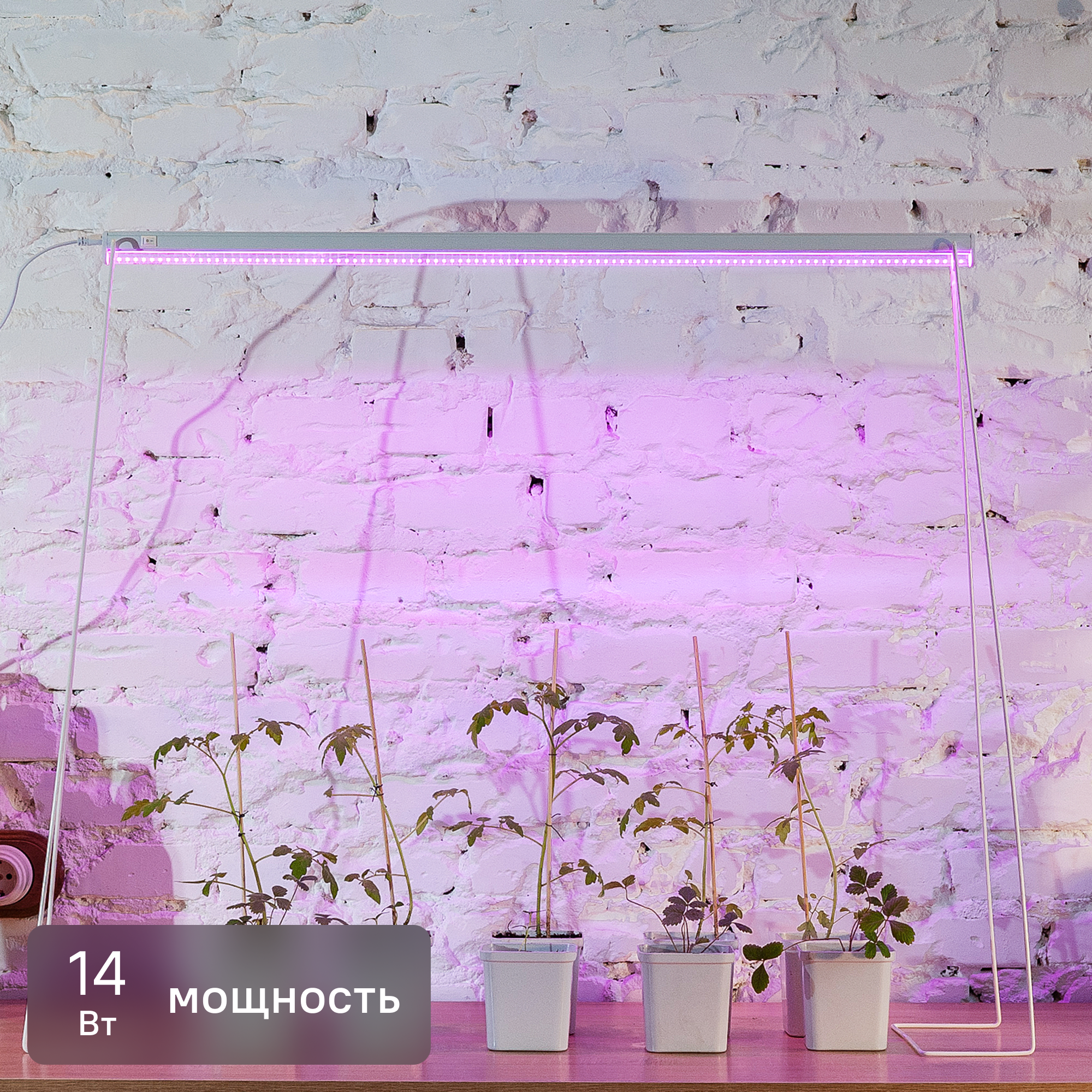 Изображение товара Линейный фитосветильник UNIEL P27 872 мм 14 Вт для роста растений розово-синий спектр