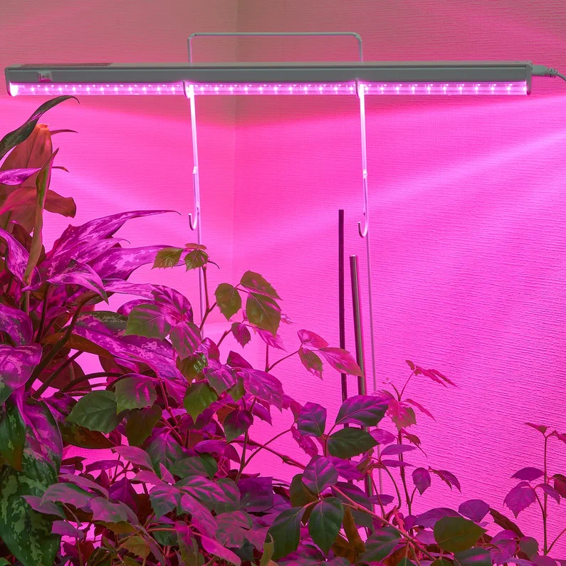 Изображение товара Фитосветильник линейный светодиодный Uniel P23 1152 мм 35 Вт красно-синий спектр розовый свет цвет серый