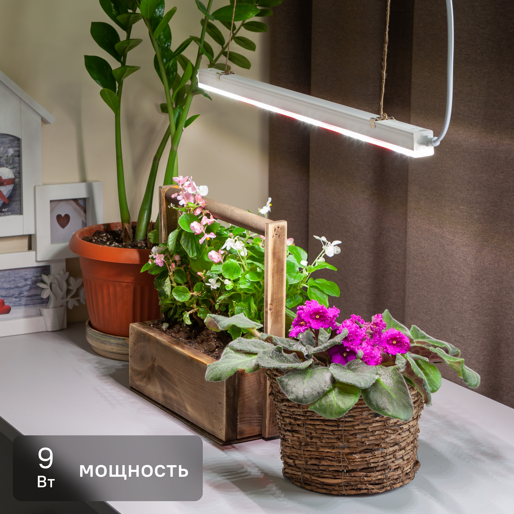 Изображение товара Фитосветильник линейный светодиодный Эра Fito 573 мм 9 Вт T5/G5 полный спектр нейтральный белый свет