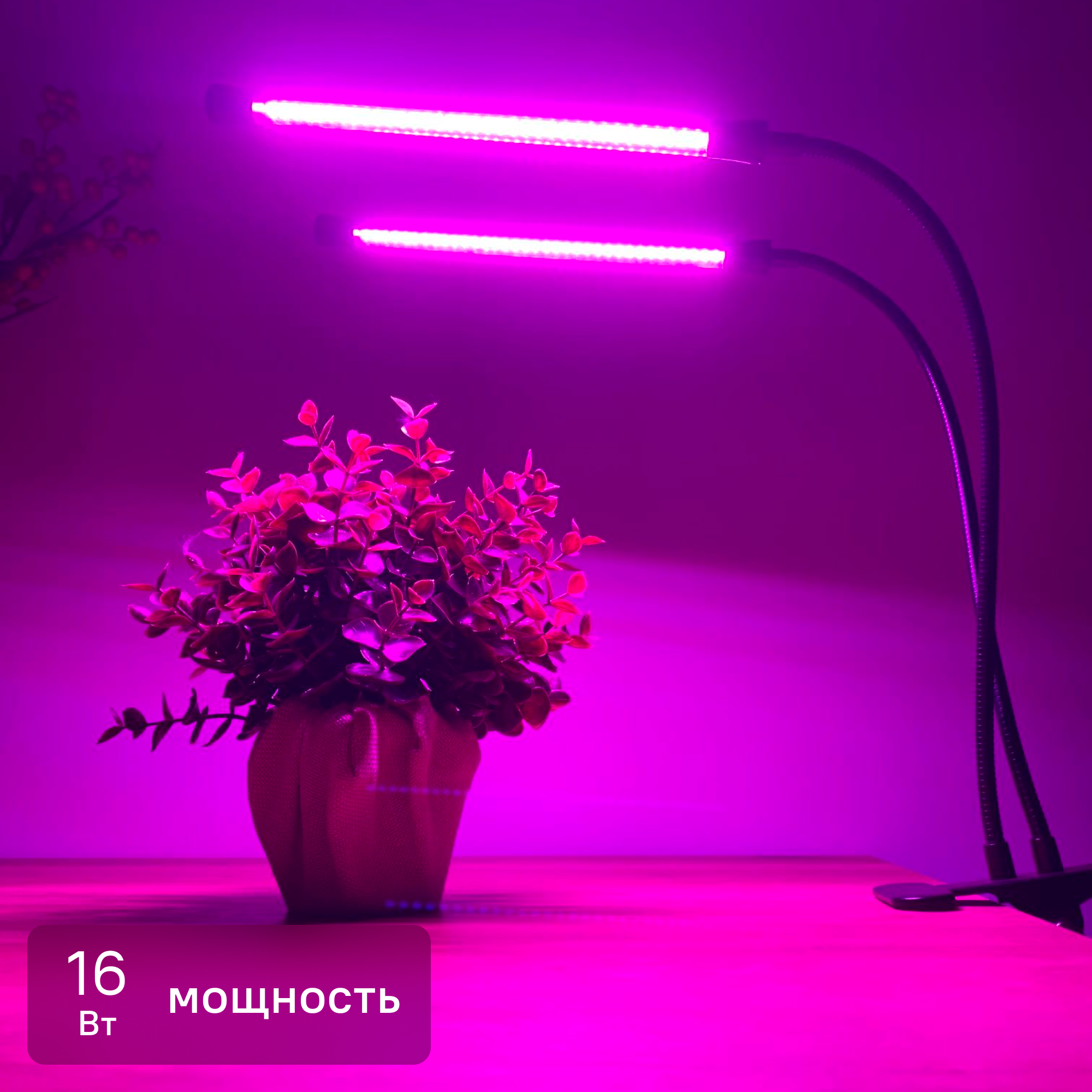 Изображение товара Фитосветильник светодиодный для растений P38 16 Вт IP40 прищепка с выключателем